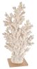 White Coral with Acrylic Base Tall